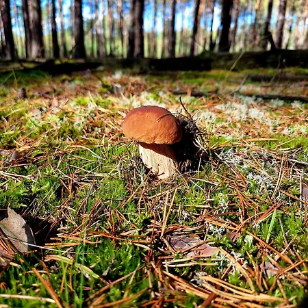 Strefa Relaksu-piece *