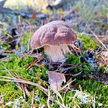 Apartment Strefa Relaksu-piece *