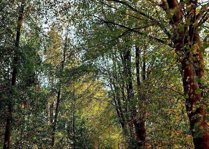 Strefa Relaksu-piece *