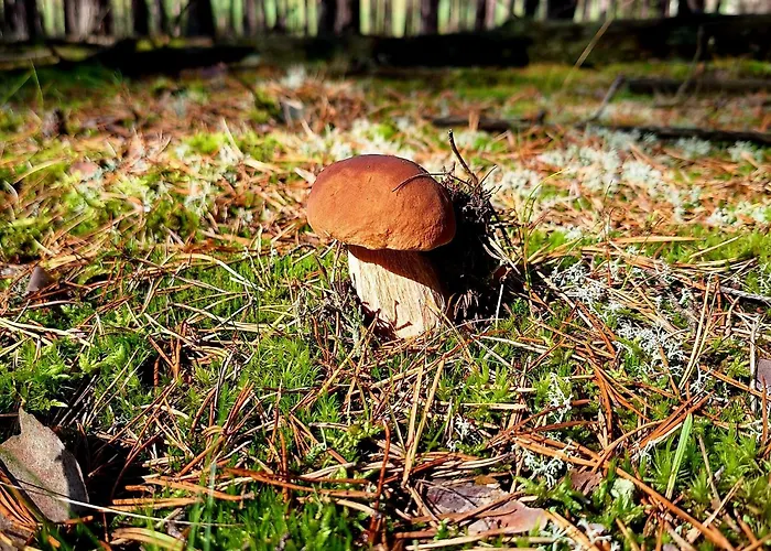 Strefa Relaksu-piece *